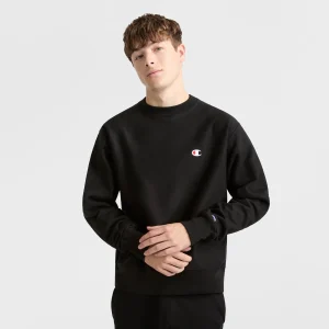 Reverse Weave Crewneck, Small C